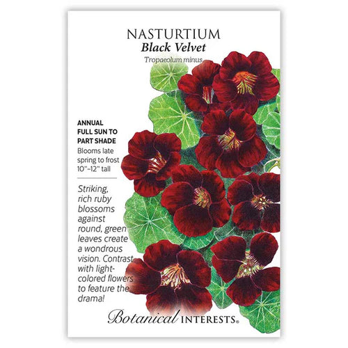 Botanical Interests Black Velvet Nasturtium Seeds