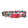 Coastal Pet Products Styles Adjustable Dog Collar (1 X 18-26, Special Paws)