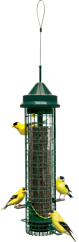 Brome Bird Care Inc Squirrel Buster Finch Bird Feeder