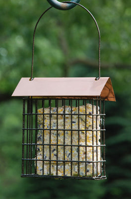 Woodlink Coppertop Single Suet Cage Feeder