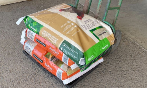 Three bags of feed on a hand truck: one bag labeled 'Country Feeds Scratch Grains' and two bags labeled 'Feathered Friend Birdsnack.