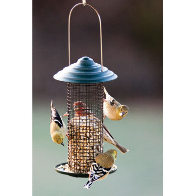 WoodLink Metal Mini Magnum Black Oil Sunflower Screen Feeder