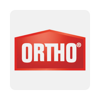 Ortho