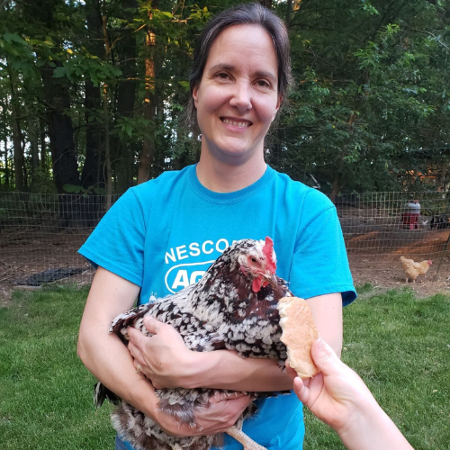 A Nescopeck Agway employee smiling for the camera while holding a chicken, which is being fed a piece of bread by an off-camera person.