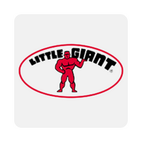 Little Giant