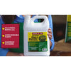 Ragan & Massey Compare-N-Save Concentrate Grass and Weed Killer 41% Glyphosate (32 Oz)