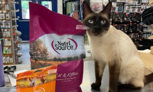 Kitten food purple bag hotsell