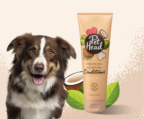 Pet Head Sensitive Soul Sensitive Skin Conditioner for Dogs