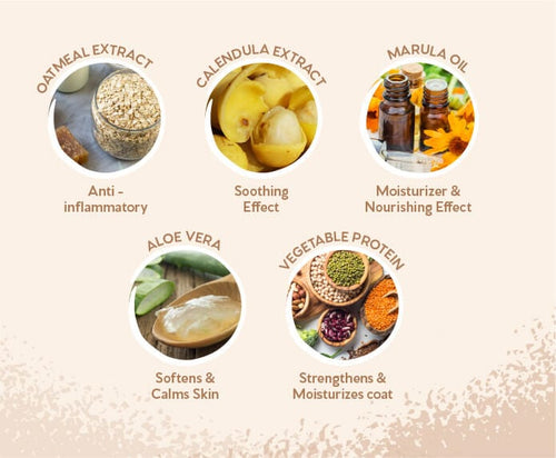 Pet Head Sensitive Soul Sensitive Skin Conditioner for Dogs