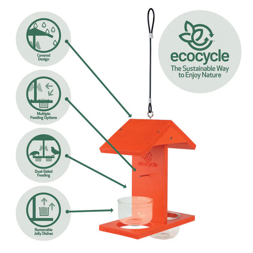 Nature's Way Bird Products EcoCycle™ Citrus Sampler Recycled Plastic Orange and Jelly Oriole Bird Feeder