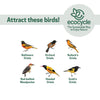 Nature's Way Bird Products EcoCycle™ Citrus Sampler Recycled Plastic Orange and Jelly Oriole Bird Feeder