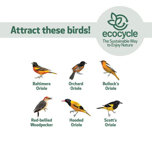 Nature's Way Bird Products EcoCycle™ Citrus Sampler Recycled Plastic Orange and Jelly Oriole Bird Feeder