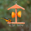 Nature's Way Bird Products EcoCycle™ Citrus Sampler Recycled Plastic Orange and Jelly Oriole Bird Feeder