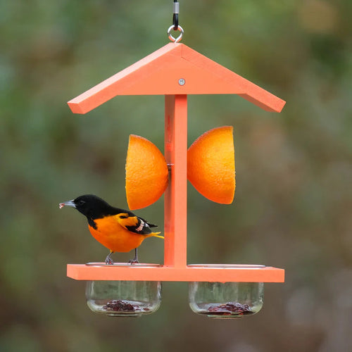 Nature's Way Bird Products EcoCycle™ Citrus Sampler Recycled Plastic Orange and Jelly Oriole Bird Feeder