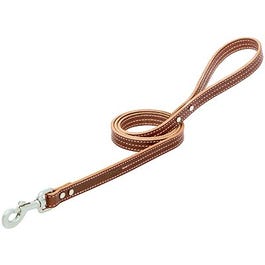Straight Dog Leash, Brown/Pink, 3/4-In. x 4-Ft.