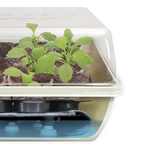 Jiffy Self-Watering Seed Starting Kit 34 Cell 36mm Peat Pellets