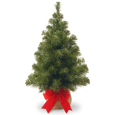 National Tree Artificial Pre-Lit Christmas Tree Noble Fir 15 Warm White LED Lights