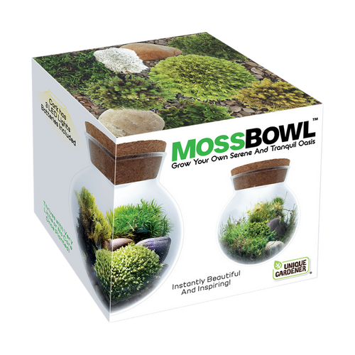Unique Gardener MossBowl Grow Your Own Beautiful Moss Garden Complete Kit