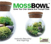 Unique Gardener MossBowl Grow Your Own Beautiful Moss Garden Complete Kit