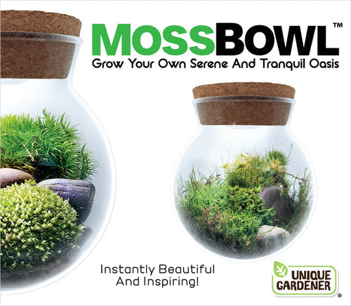 Unique Gardener MossBowl Grow Your Own Beautiful Moss Garden Complete Kit