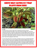 Unique Gardener Flytrap Garden Glass Terrarium Seed Starting Kit