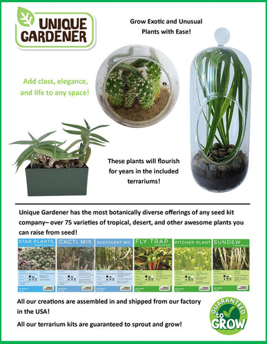 Unique Gardener Flytrap Garden Glass Terrarium Seed Starting Kit
