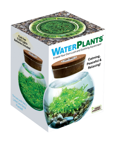 Unique Gardener WaterPlants Grow Lush Aquatic Plants from Seed! Thrives With Minimal Care