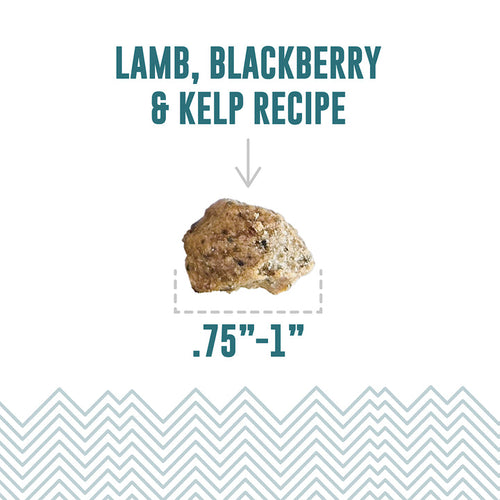 Icelandic+ Lamb, Blackberry & Kelp Recipe Soft & Chewy Bites for Dogs