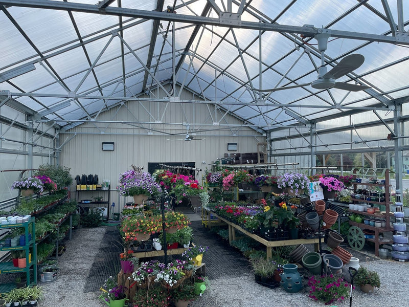 Inside the Mechanicsburg Agway greenhouse with various plants and products on display.