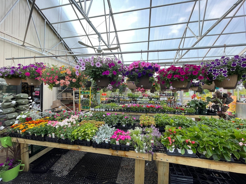 Inside the Mechanicsburg Agway greenhouse with various plants and products on display.