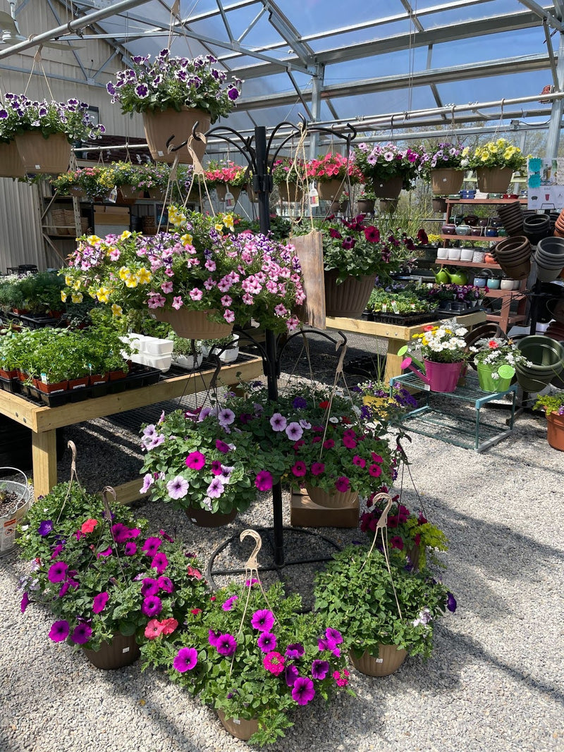 Inside the Mechanicsburg Agway greenhouse with various plants and products on display.