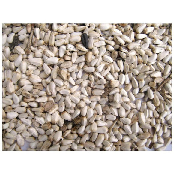 GENERIC SAFFLOWER SEED (25 lb)