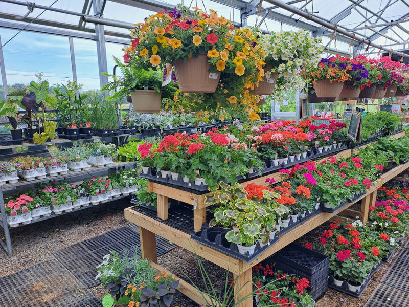 Inside the Mechanicsburg Agway greenhouse with various plants and products on display.