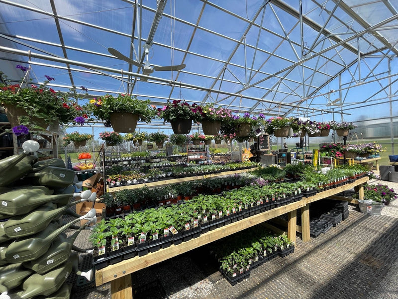 Inside the Mechanicsburg Agway greenhouse with various plants and products on display.