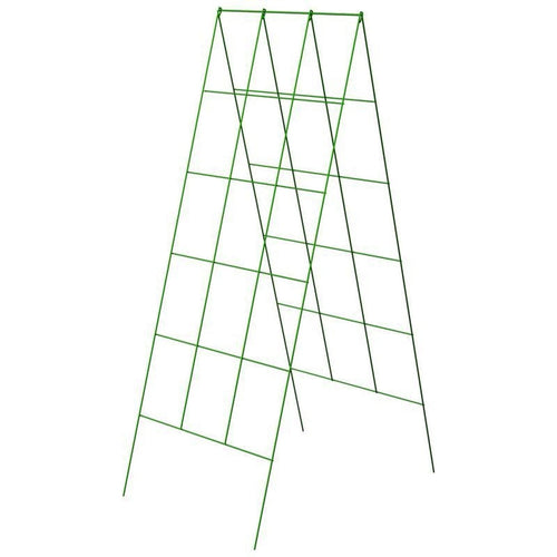 A FRAME TRELLIS (48X18 INCH, GREEN)