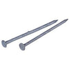 Galvanized Common Nail, 3-In., 10-D, 1-Lb.