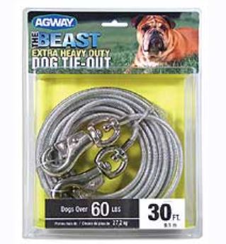 AGWAY® Beast Tie Out