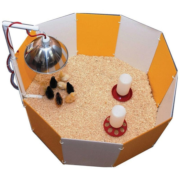 FARM INNOVATORS BABY CHICK STARTER HOME